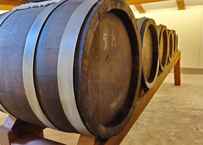 La Bella Centro 3* Μόντενα